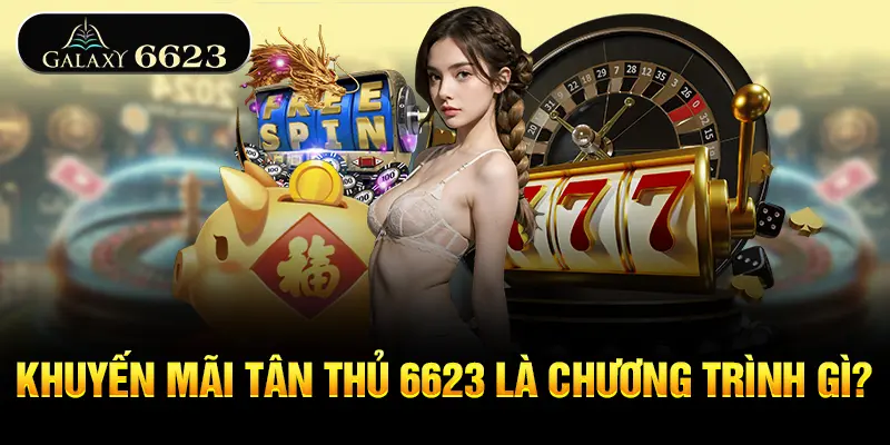 khuyen-mai-tan-thu-6623-la-chuong-trinh-gi
