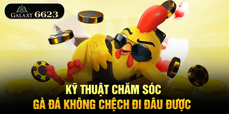ky-thuat-cham-soc-ga-da-khong-chech-di-dau-duoc